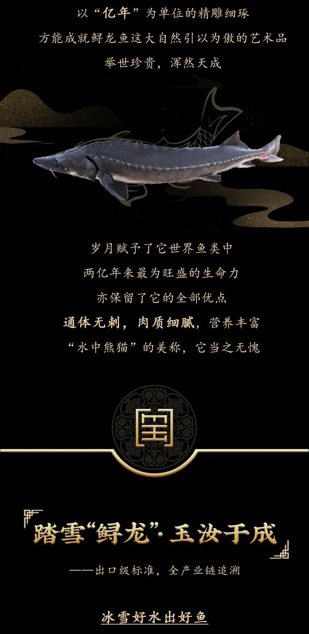 九州鲟龙鱼片上新 | 自然臻藏，献给吃鱼有讲究的人